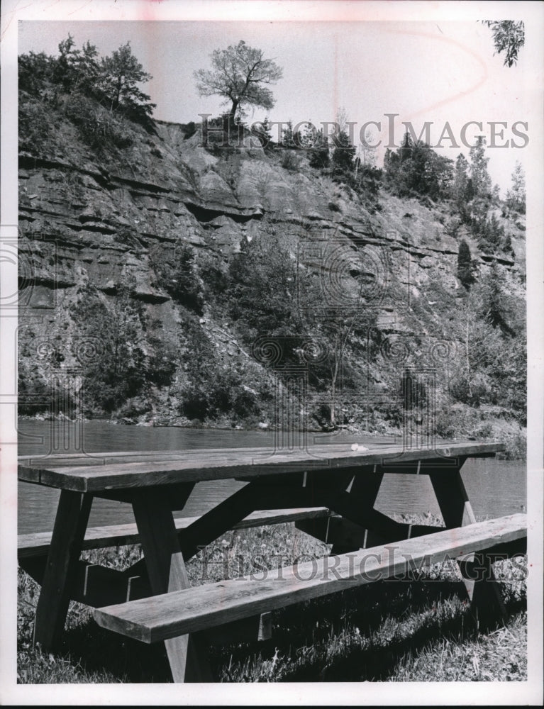 Press Photo Tree on high cliff ready to topple to river - Historic Images