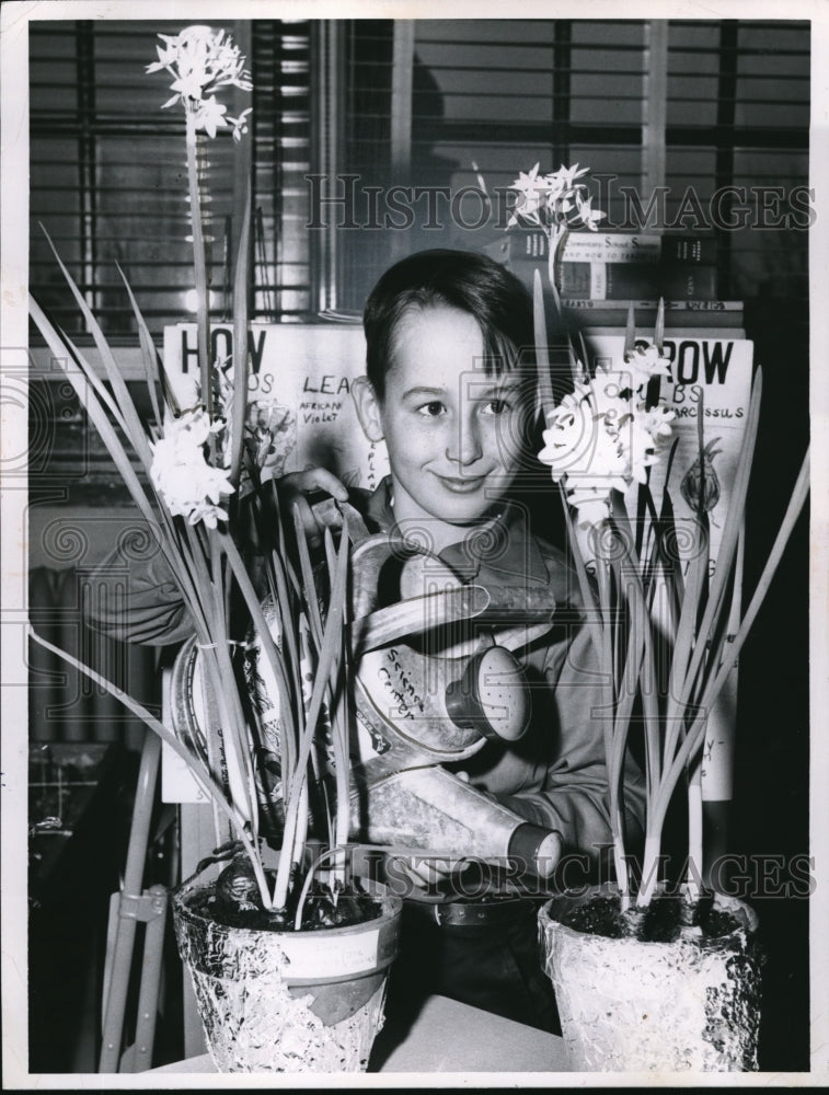 1960 Donals Jacobs age 9 raised narcissus flowers - Historic Images