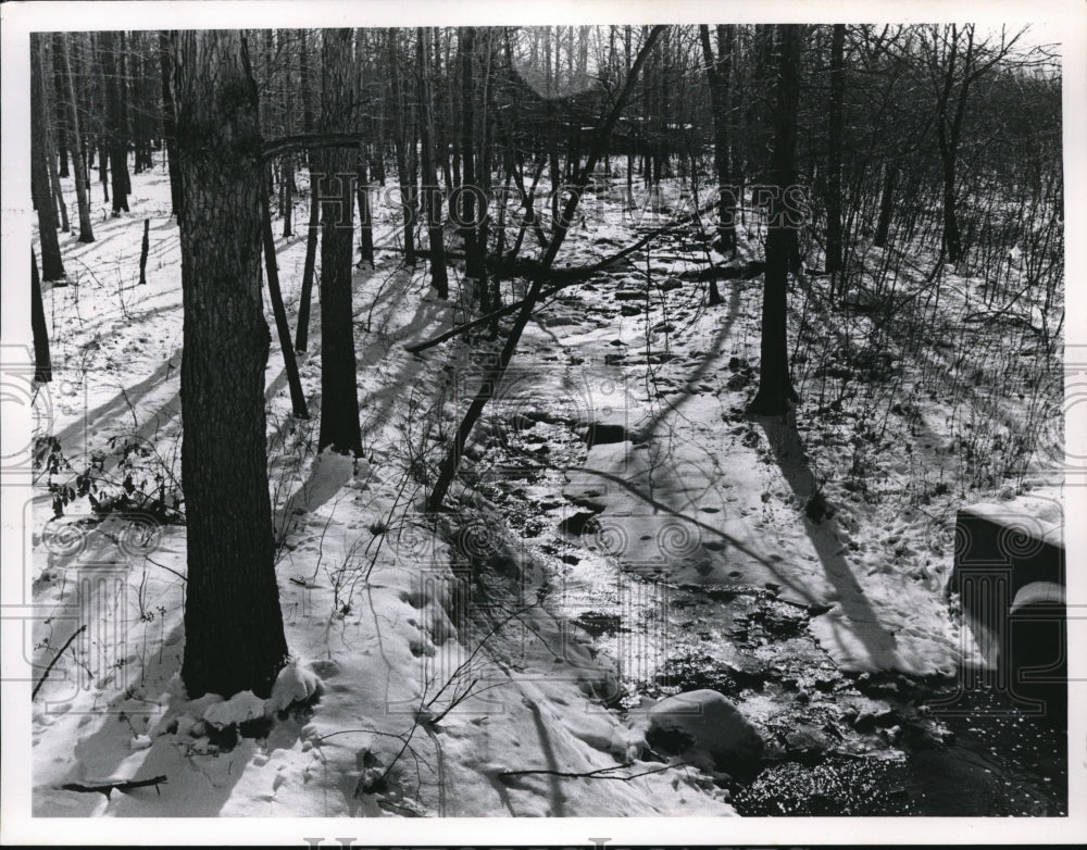 Press Photo Bubbling brook during winter - Historic Images