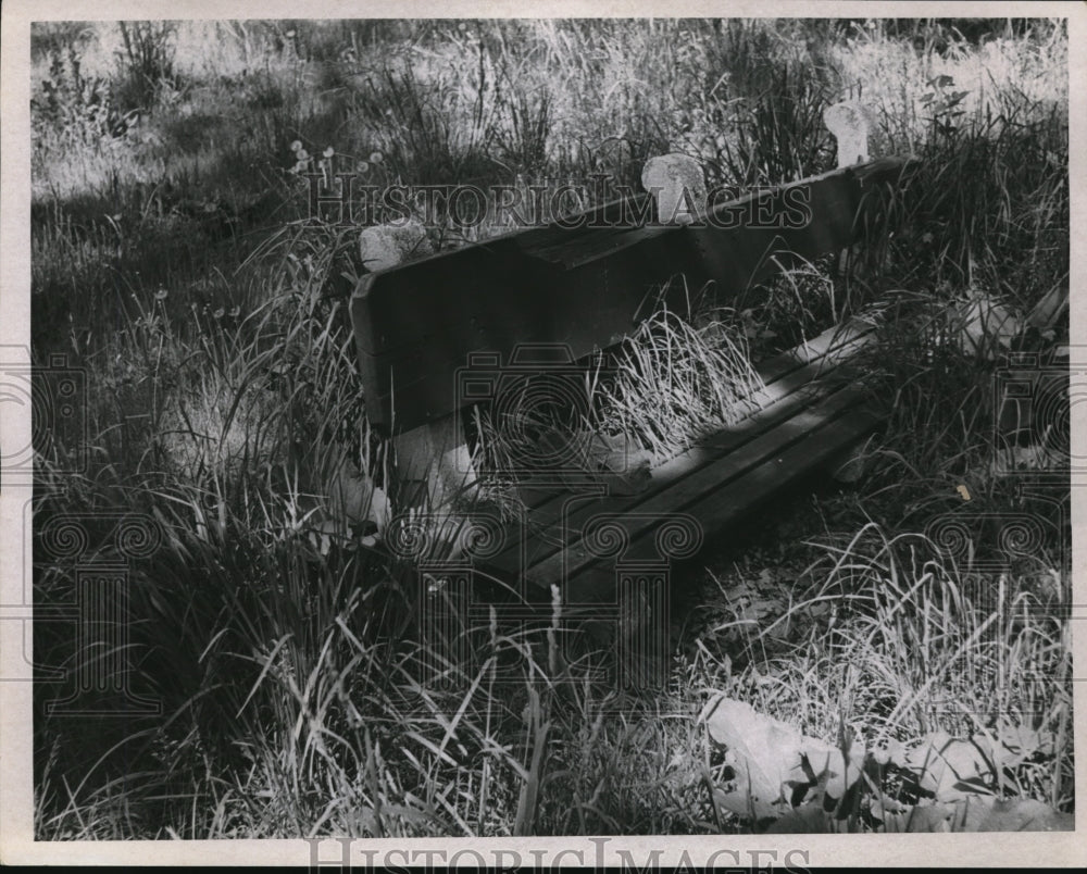 1970 Press Photo High grass and bench - Historic Images