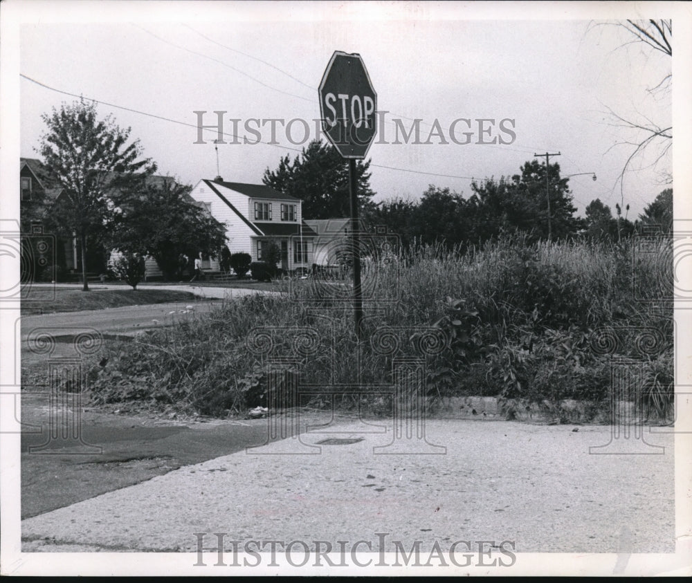 Press Photo McCracken Rd and Dortland - Historic Images
