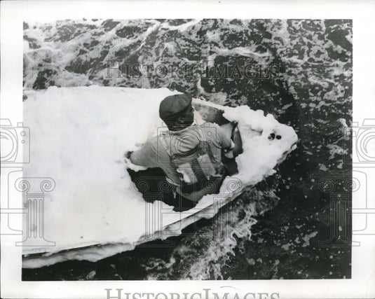 1962 Press Photo Water pollution at Chicago Sewage plant. - Historic Images