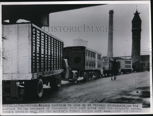 1946 Press Photo Chicago Stockyards heaviest shipment this year - Historic Images