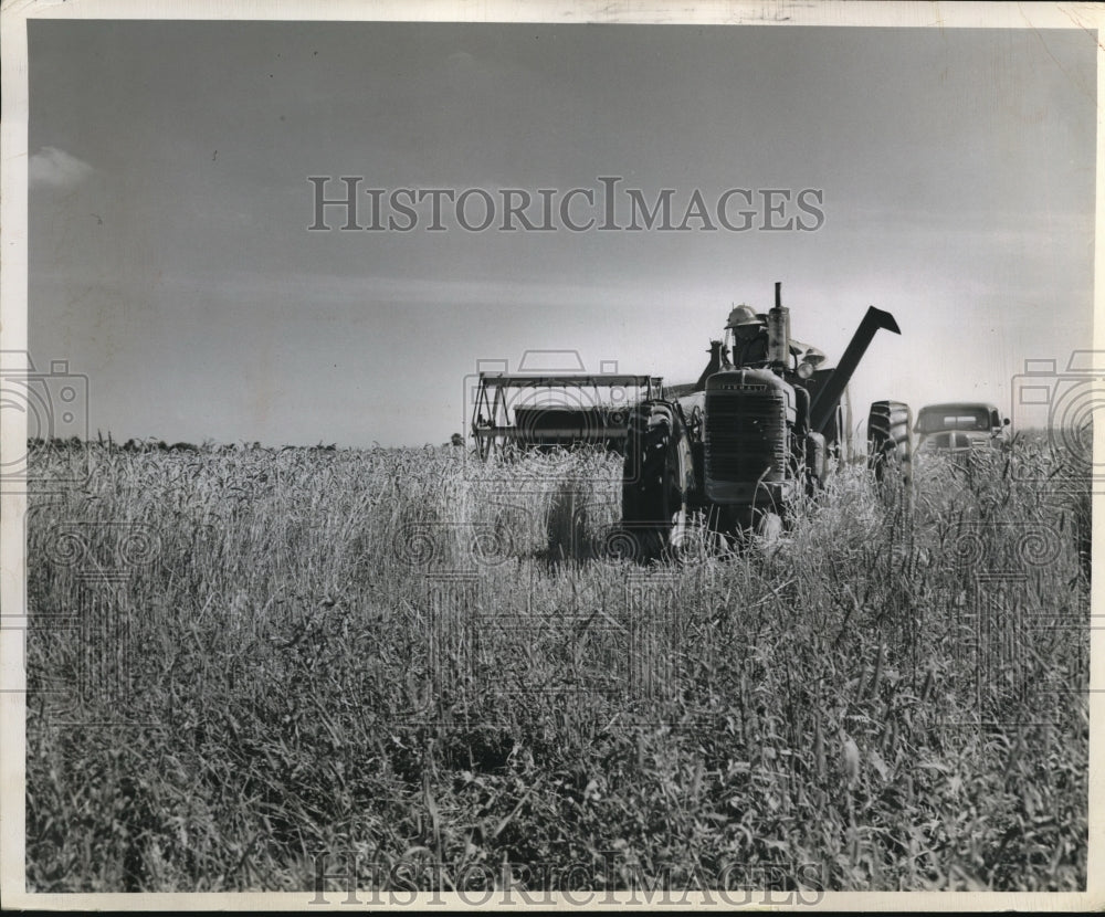 1956 Byron Nottingham, Alfred Funck, Otis Sandoe harvesting field - Historic Images