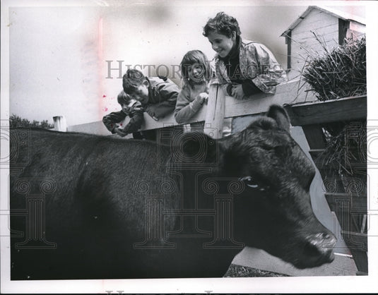 1967 Press Photo D\awn Pearlster,P Lucas, D Rudner, J Maxson & a cow on farm - Historic Images