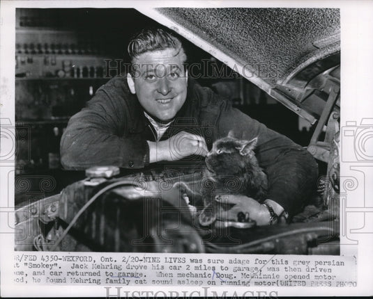 1956 Press Photo Mexford, Ontario Canada cat Smokey & Jack Mehring-Historic Images