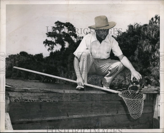 1939 Paul Warner Netting a crab - Historic Images