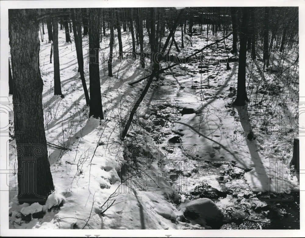 Press Photo Bubbling brook off of Snow road near Smith in Ohio - Historic Images