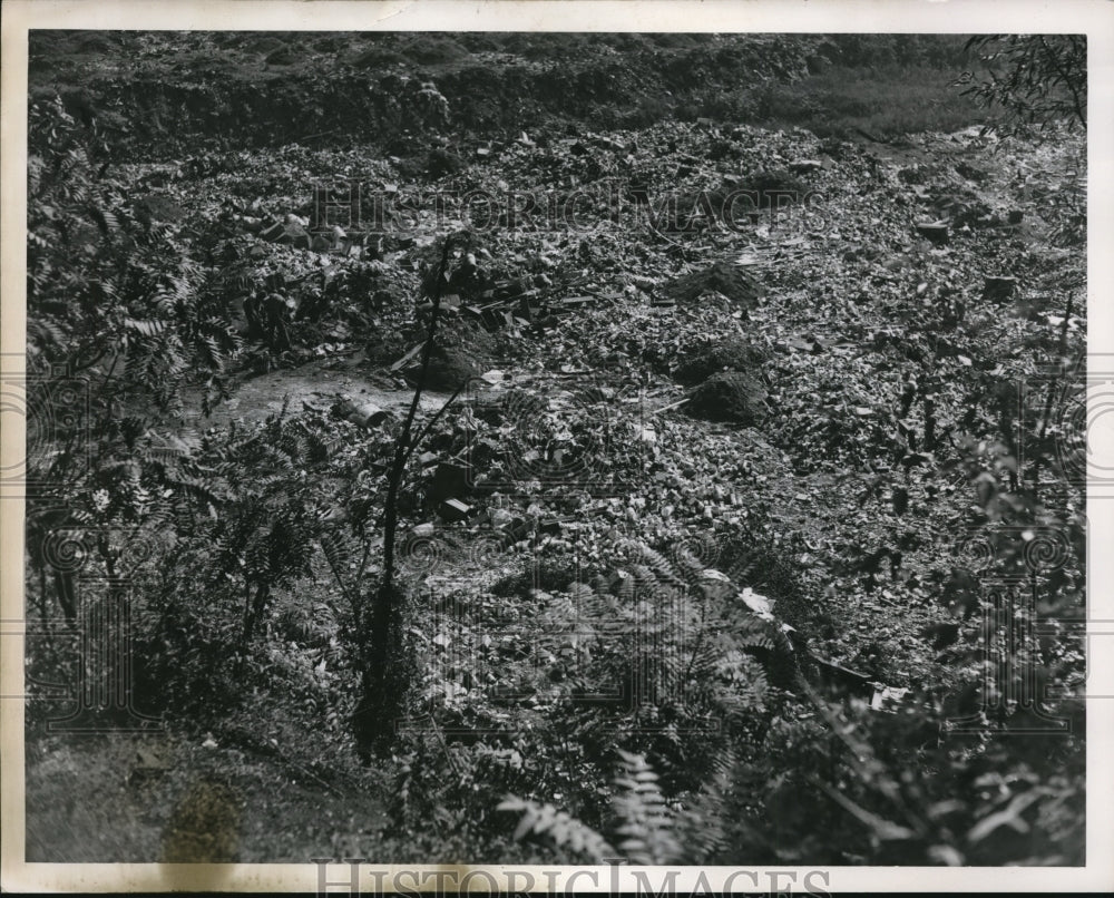 1951 Press Photo Dump in Kingsburg Run near Cleveland - Historic Images