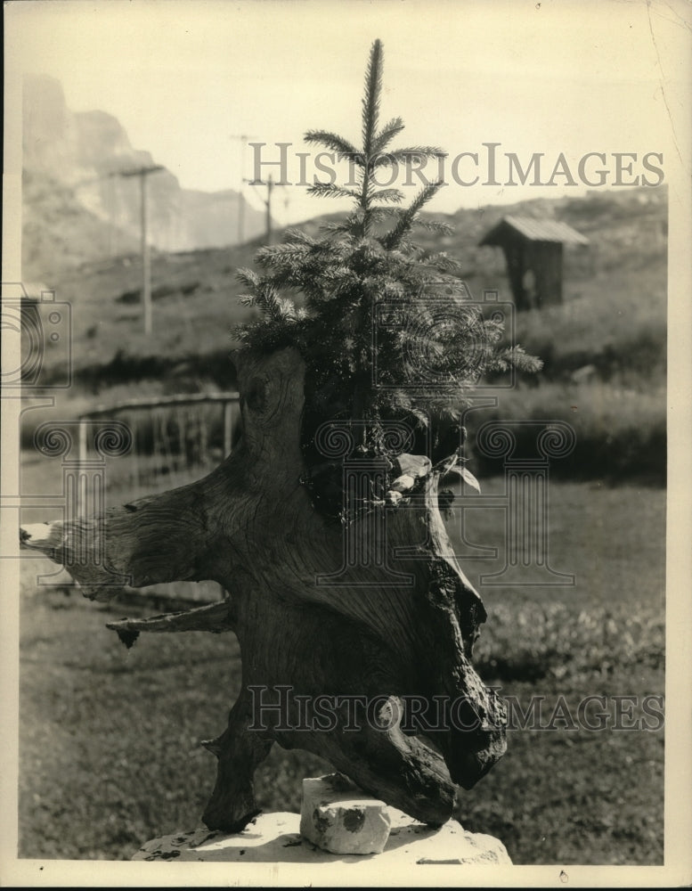 1931 Press Photo  Glacier Park Administrative Headquarters - Historic Images