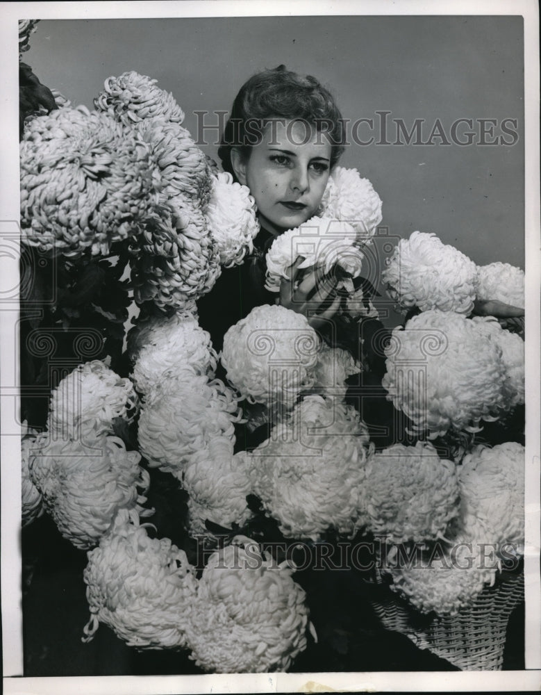 1952 Press Photo Pretty girl with Chrysanthemums on Roman Flower Exhibition - Historic Images