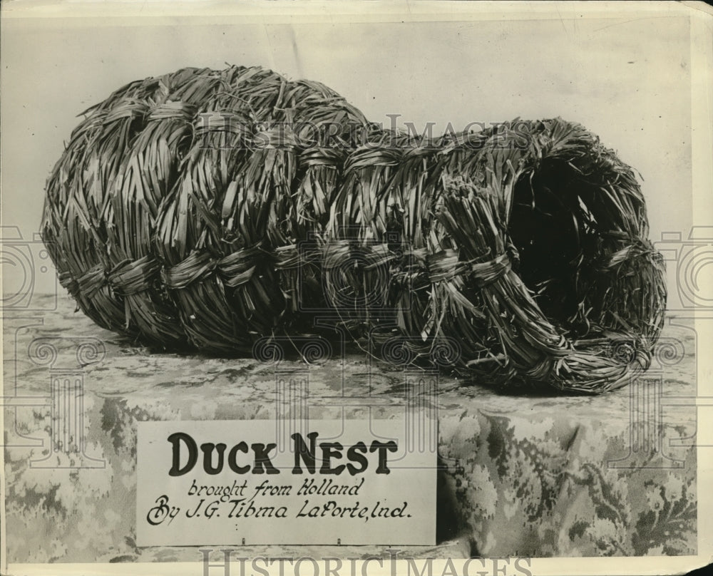 1928 Press Photo Duck Nest Brought from Holland by J.G. Tibma - Historic Images