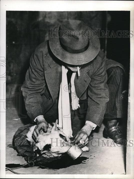 1942 Press Photo W. Harris Give Water to Pup After Fire in Basement Apartment - Historic Images