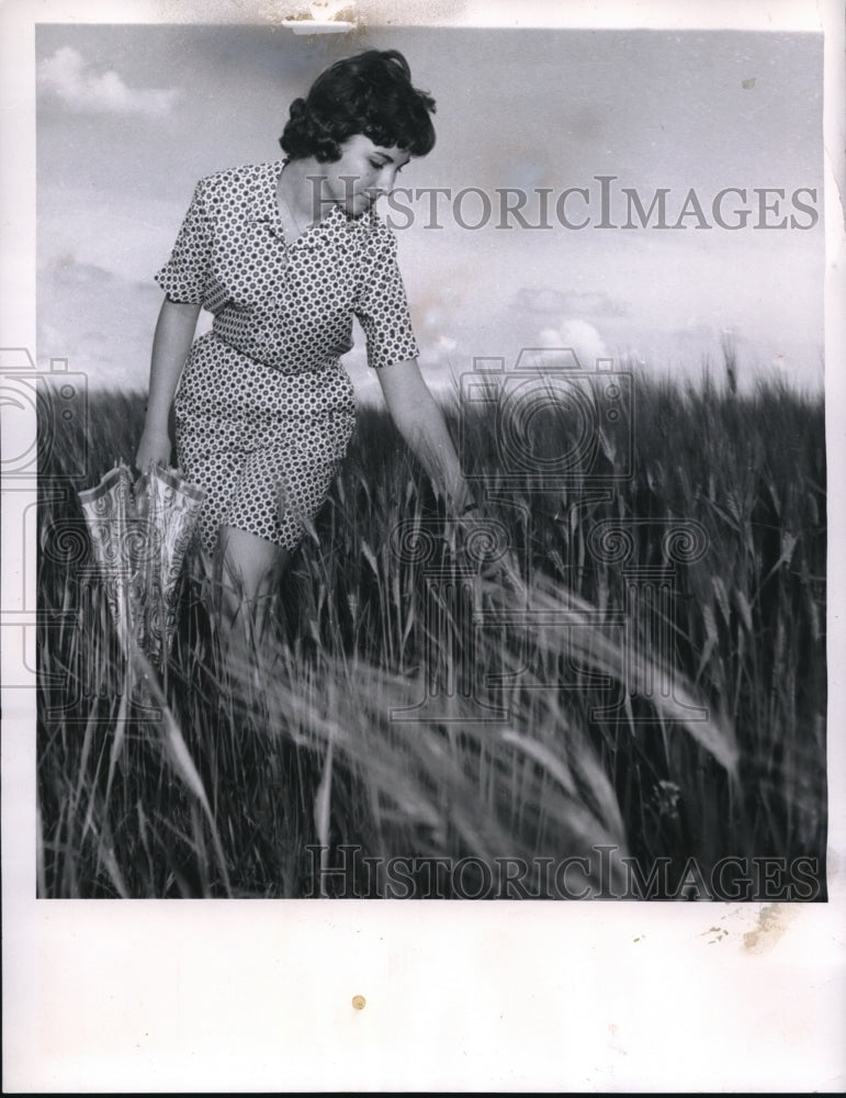 1959 Press Photo Carolyn Goebel in Wheat Field - Historic Images