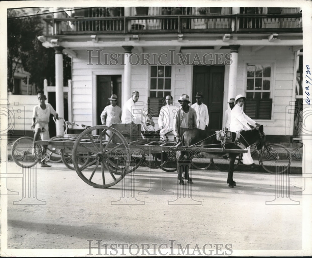 1941 Dutch Guinea mule carts &amp; bikes as transportation  - Historic Images