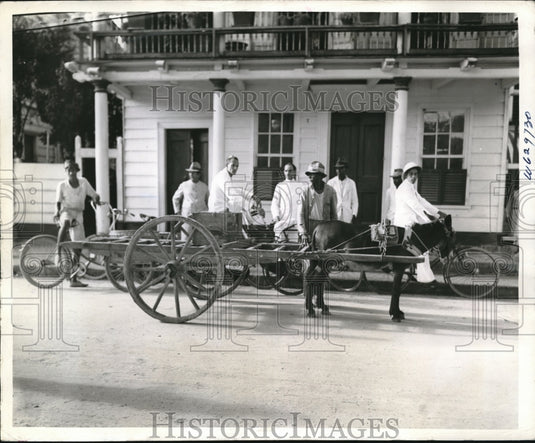 1941 Dutch Guinea mule carts & bikes as transportation  - Historic Images