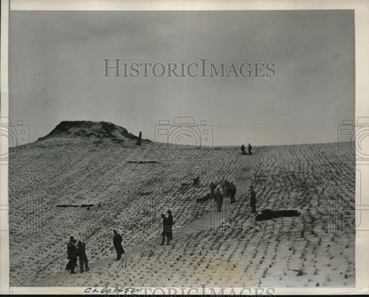 1941 Press Photo Grand Haven Mich trees planted to keep sand hills in place - Historic Images