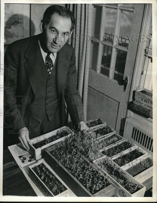 1943 Press Photo Abbo Ostrowsky & cabbage to be planted in NYC - Historic Images