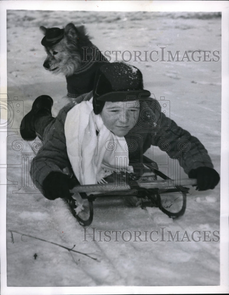 1955 Press Photo Belton Md Stevie Peterson & dog on his sled - nec88884 - Historic Images