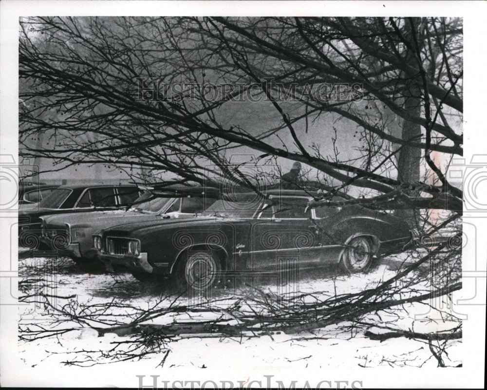 1971 Press Photo Trees down on Lakeside Court House Parking Lot - Historic Images