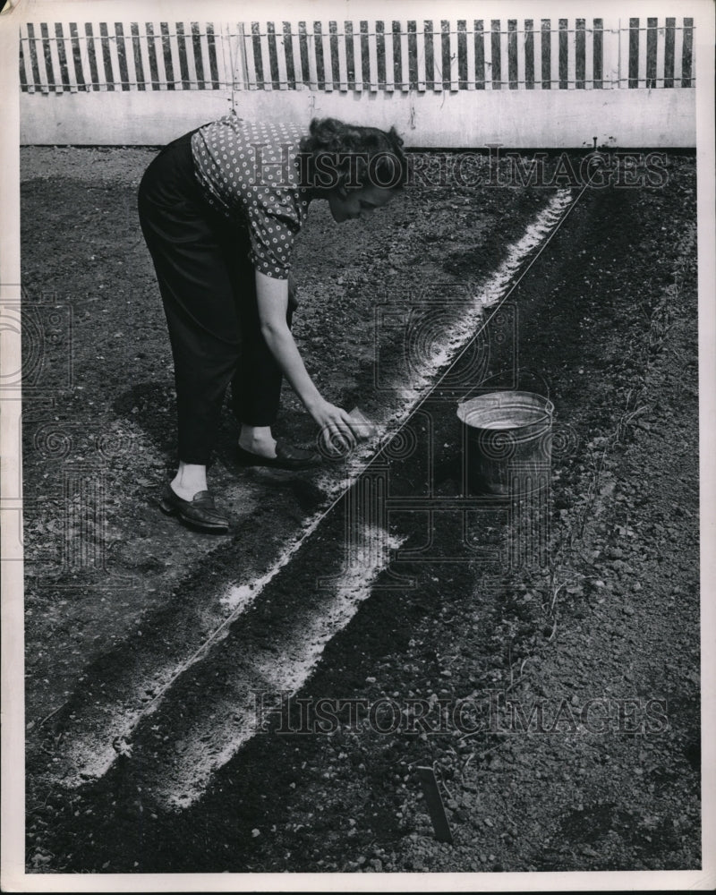 1954 A young Woman tending to her garden in her yard - Historic Images