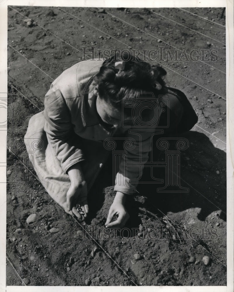 1943 Press Photo Ann Schloss planting beans in her garden in Forest Hills - Historic Images