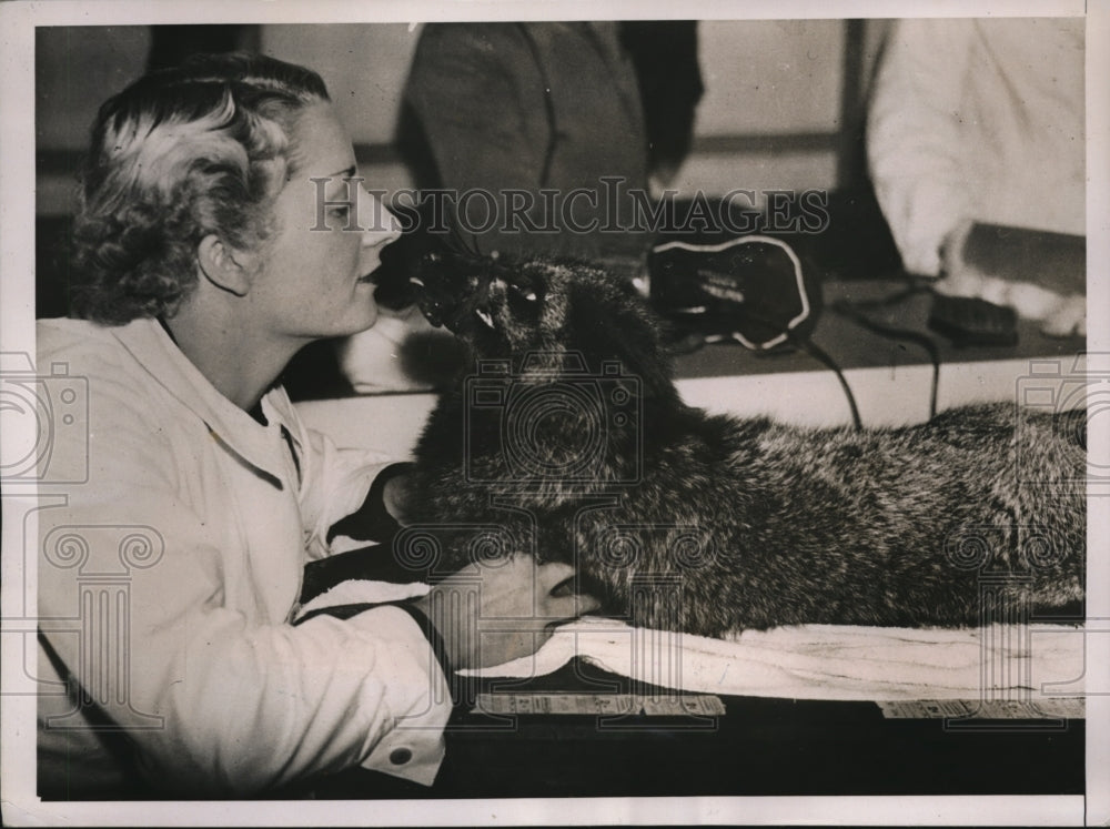 1937 Press Photo Girl Exhibitor with a Silver fox which is muzzled for safety - Historic Images