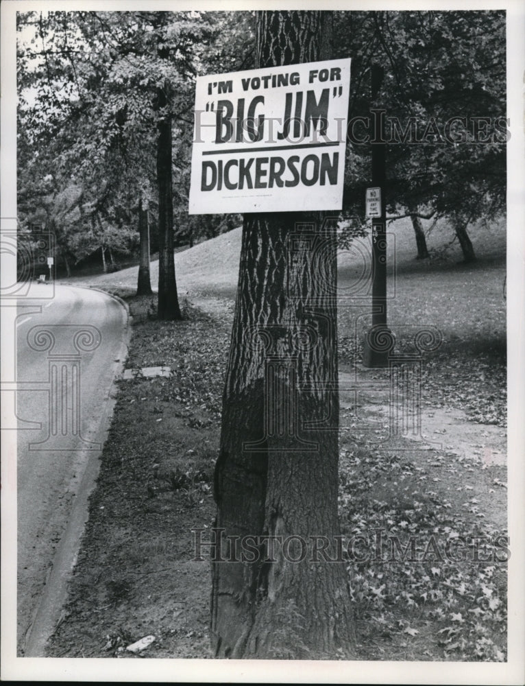 1975 Press Photo Trees along Liberty Blvd in Cleveland Ohio with campaign signs - Historic Images