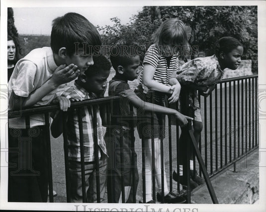 Press Photo Kids from E Cleveland watching seals at the zoo - Historic Images