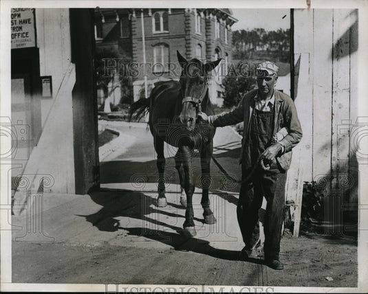 1934 Press PhotoSan Francisco Prisoners utility horse - Historic Images