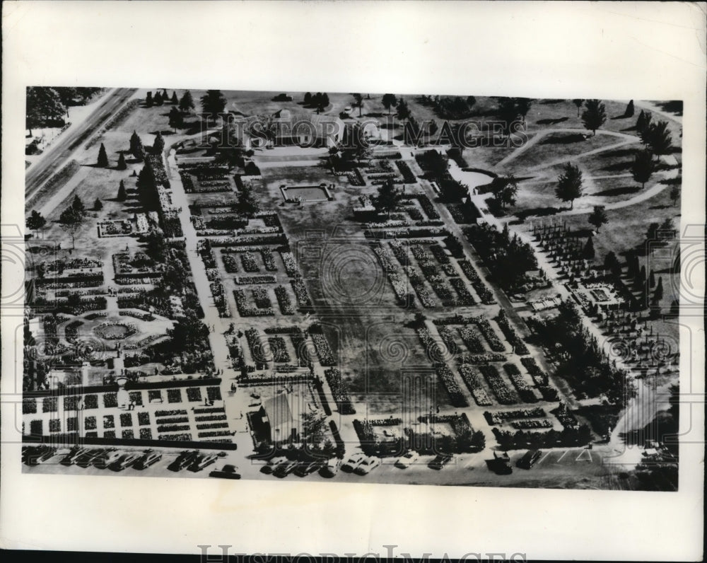 1953 Press Photo Rose Festival Jackson Perkins Rose Garden - Historic Images