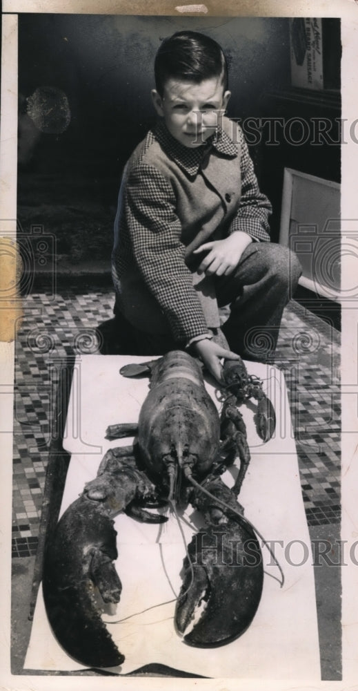 1950 Press Photo Newport RI Larry Shea & 17 pound lobster - Historic Images