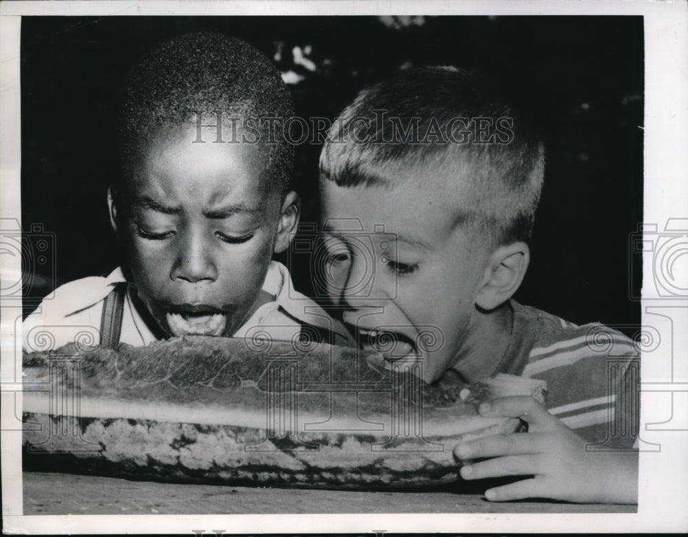 1949 Press Photo Bernard Shepard, Garry Quien in Watermelon Eating Contest - Historic Images