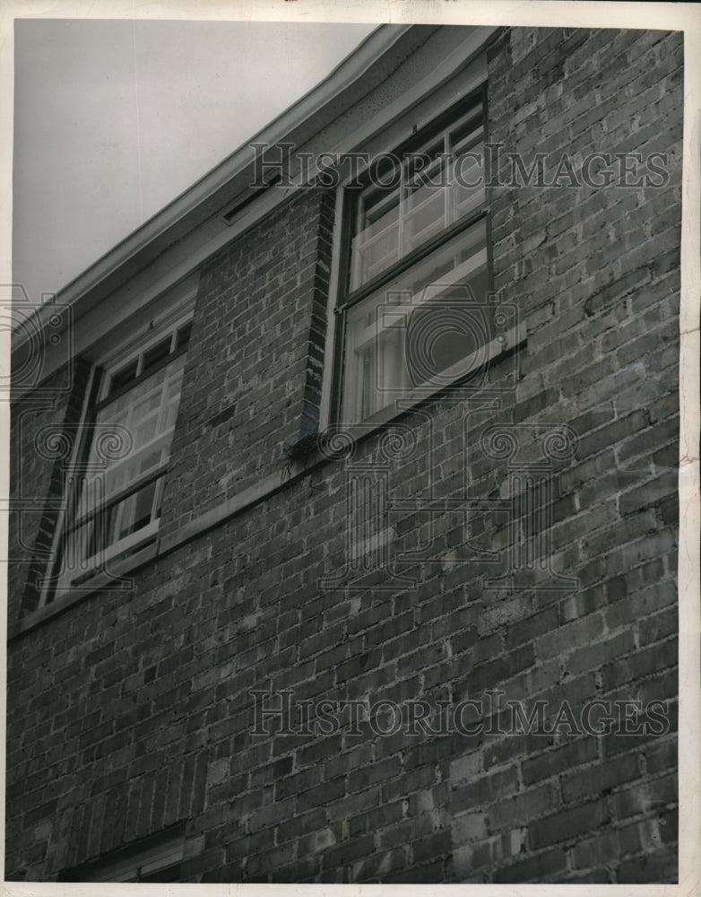 1948 Press Photo Julius Greenfield&#39;s bird shot at the I.J. Farkas&#39; home - Historic Images