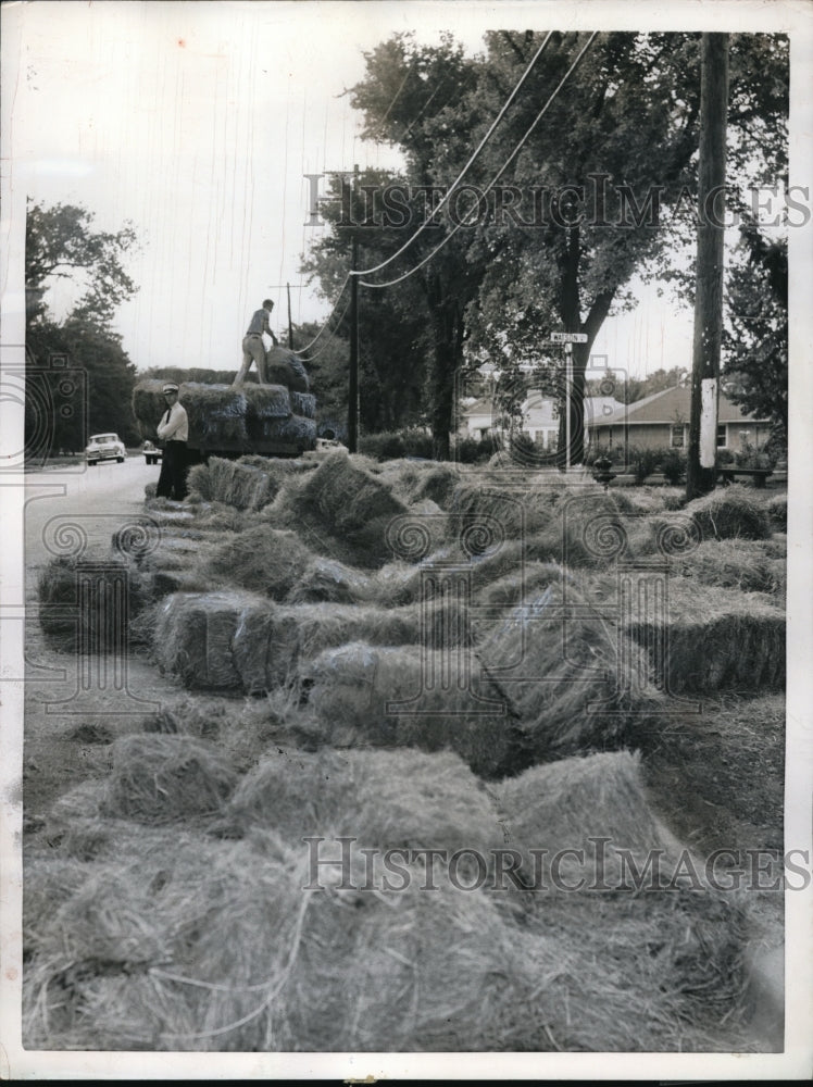 1955 Press Photo A truck driven by L. D. Wilson lots its load of hay. - Historic Images