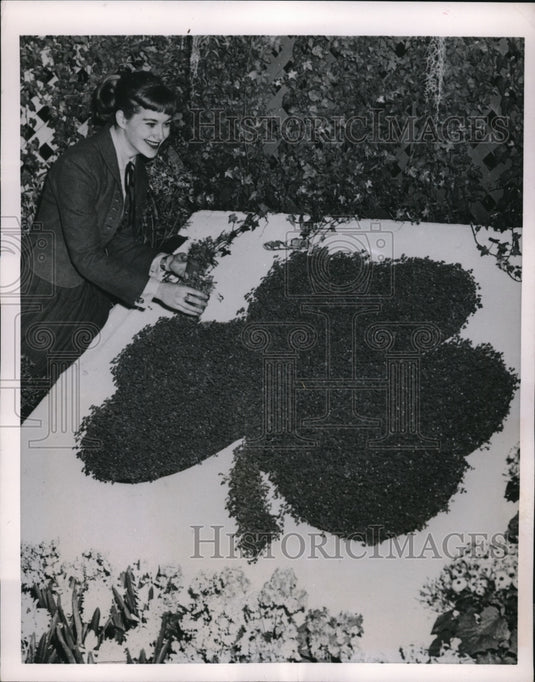 1954 Press Photo Chicago Nancy Malone & shamrock at Garfield Park conservatory - Historic Images