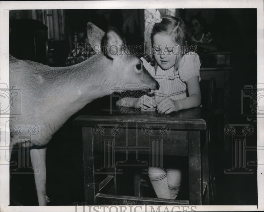 1947 Press Photo Fergusons Corner NY Bev Newell &amp; a baby deer in classroom - Historic Images