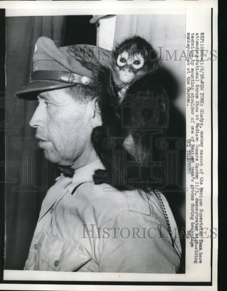 1958 Press Photo Gladys, monkey mascot of the Mexican Equestrian Team - Historic Images