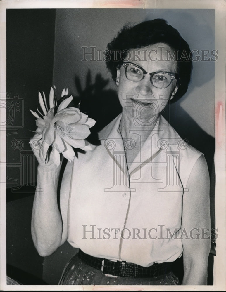 1962 Press Photo Mrs Clara Berndt and blooming Cereus - Historic Images