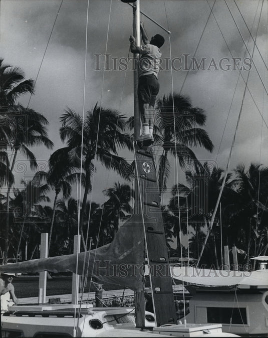 1970 Press Photo Allaboard becomes sturdy ladder - Historic Images