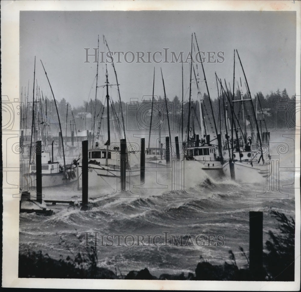 1962 Press Photo Charleston, Ore boat basin hit by strong storm - nec97540 - Historic Images