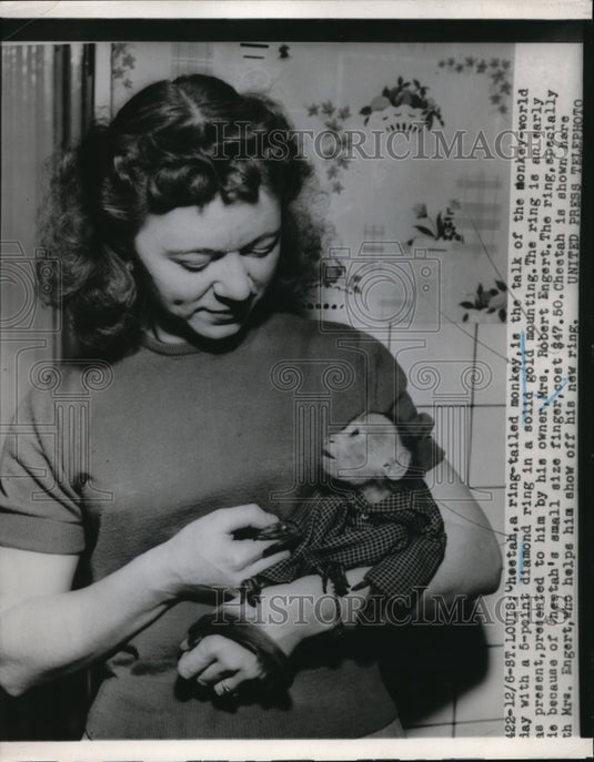 1952 Press Photo Cheetah, ring-tailed monkey owned by Mrs. Robert Engert - Historic Images