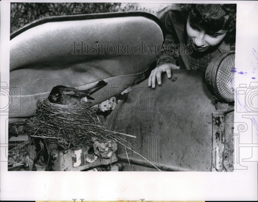 1959 Press Photo Bridgeport Ind Robin makes nest in a farm tractor - Historic Images