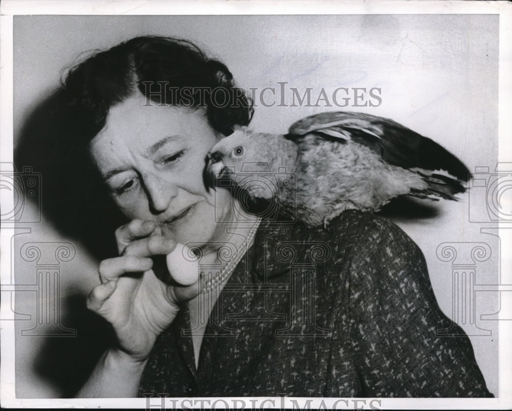 1956 Press Photo Chicago Mike the parrot &amp; owner Avis Wise with egg bird  laid - Historic Images