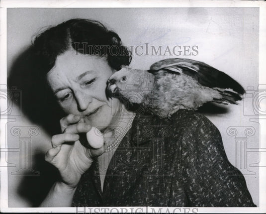 1956 Press Photo Chicago Mike the parrot & owner Avis Wise with egg bird  laid - Historic Images