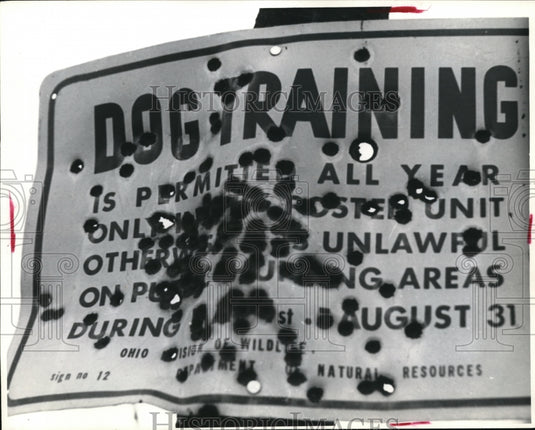Press Photo A bullet hole riddled sign at Spencer Lake in Ohio - Historic Images