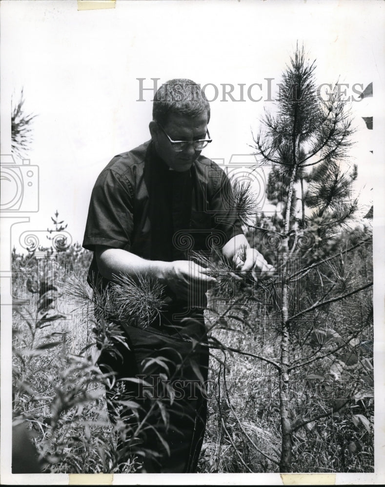 1970 Father Beyer Inspects the progress of reforestation  - Historic Images