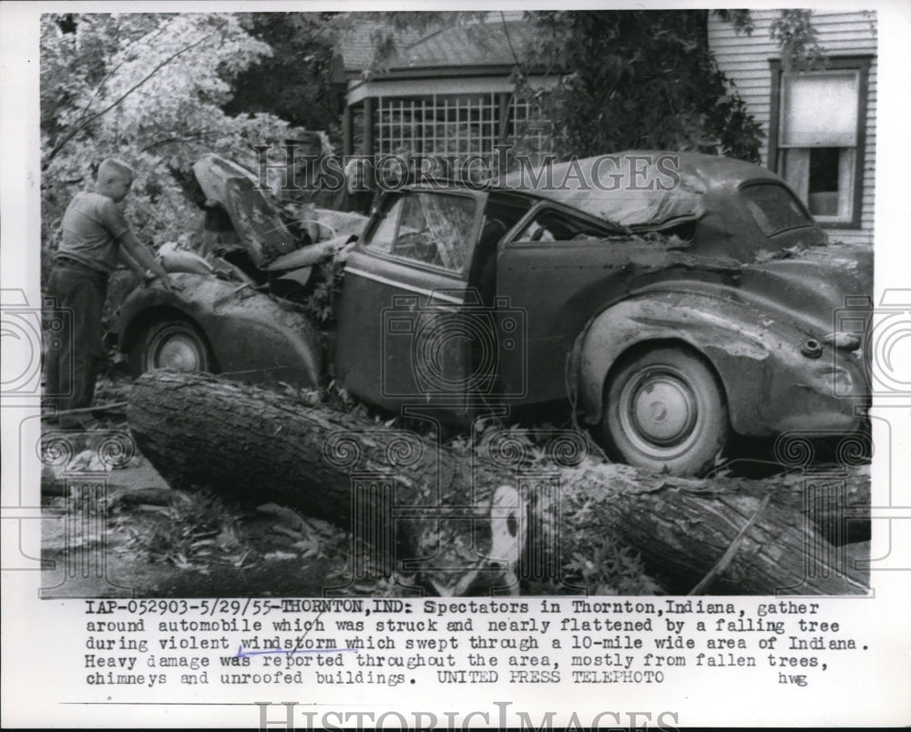 1955 Press Photo Thornton Ind Bad windstorm dropped tree on a auto - Historic Images