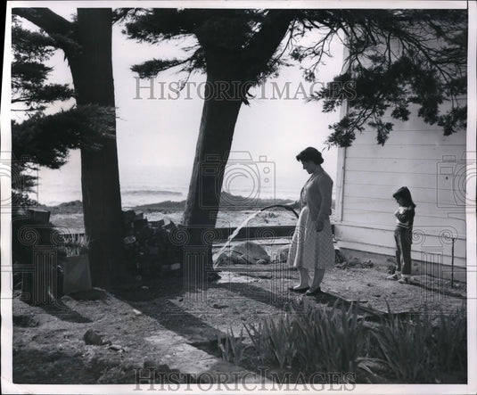 1954 Press Photo Dolores Jackson & cypress trees at her home in Calif - Historic Images