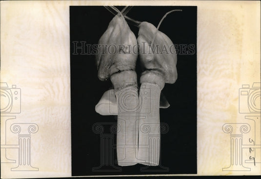 1969 Press Photo Houston Texas Orthotopic Cardiac Prosthesis fro heart ops - Historic Images